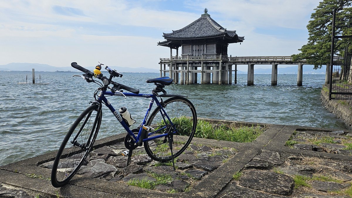 コンバットさん tweet media