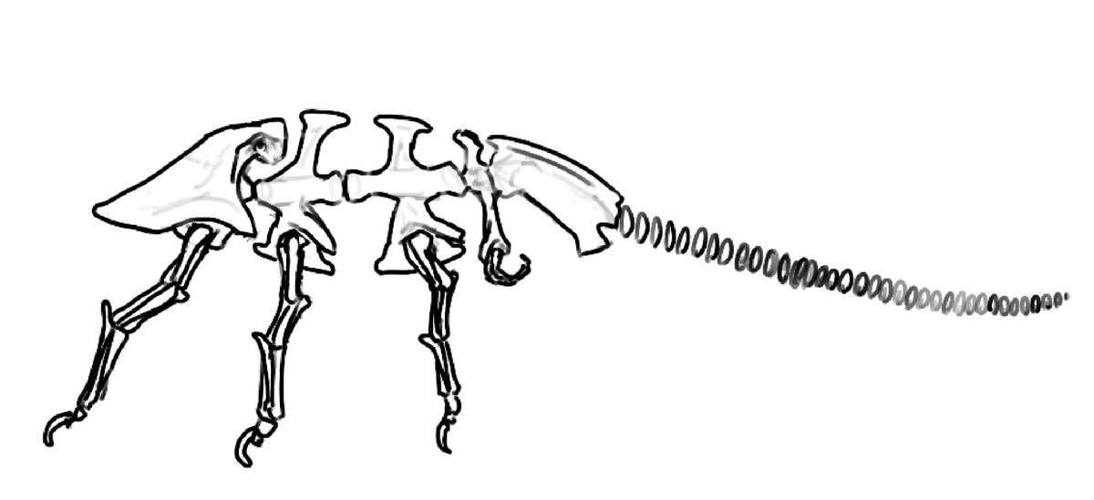 <a href="/Duddly_Three/">Unnamed Individual</a> they are members of Hexapoda, so the cephalic limbs came before cervical vertebrae, here is a good example of basal hexapod anatomy (yes I know there are technically 4 pairs of limbs but only the cephalic, thoracic and pelvic limbs are for walking