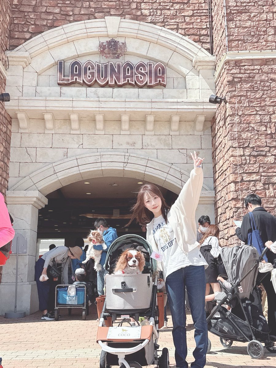 ふれいあの中身(*´ч`*) tweet media