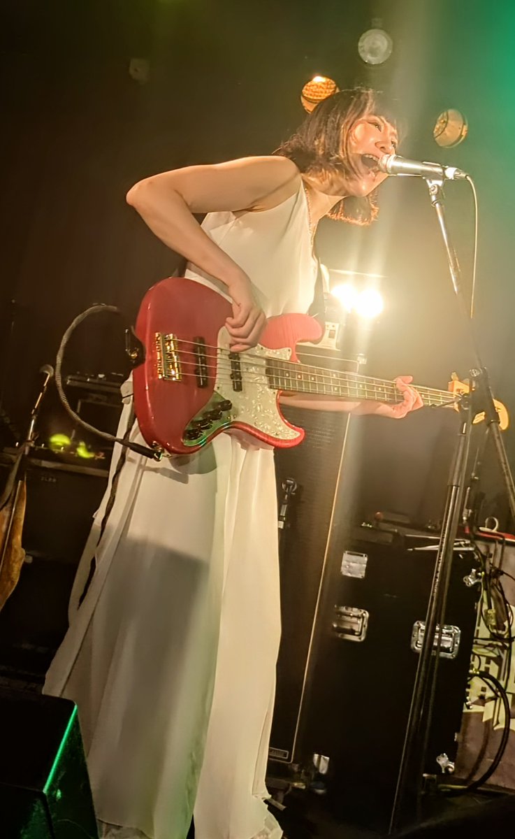 NolifeNoBDC tweet media