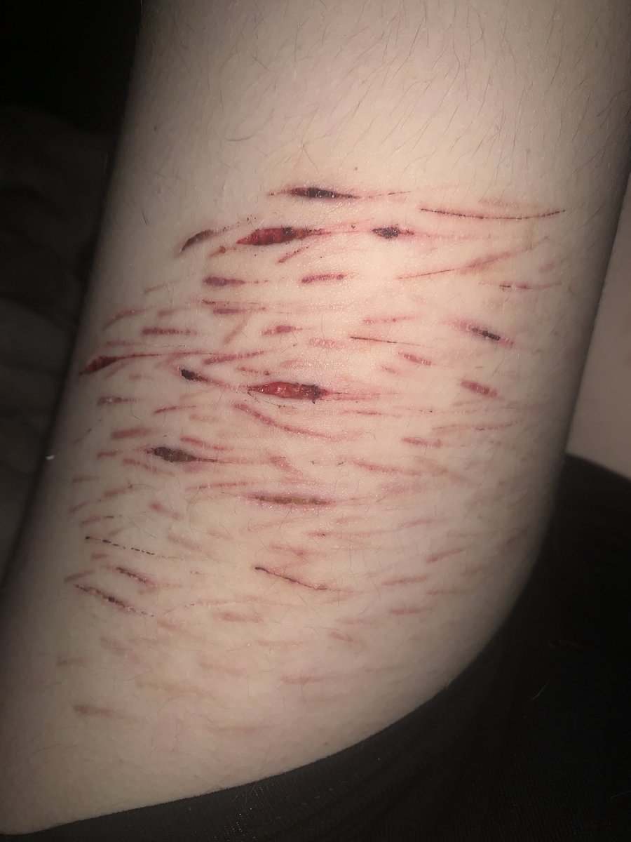 𝚙𝚞𝚛𝚙𝚕𝚎 𝚘𝚏 𝚜𝚑𝚝𝚠𝚝 ☆ tweet media