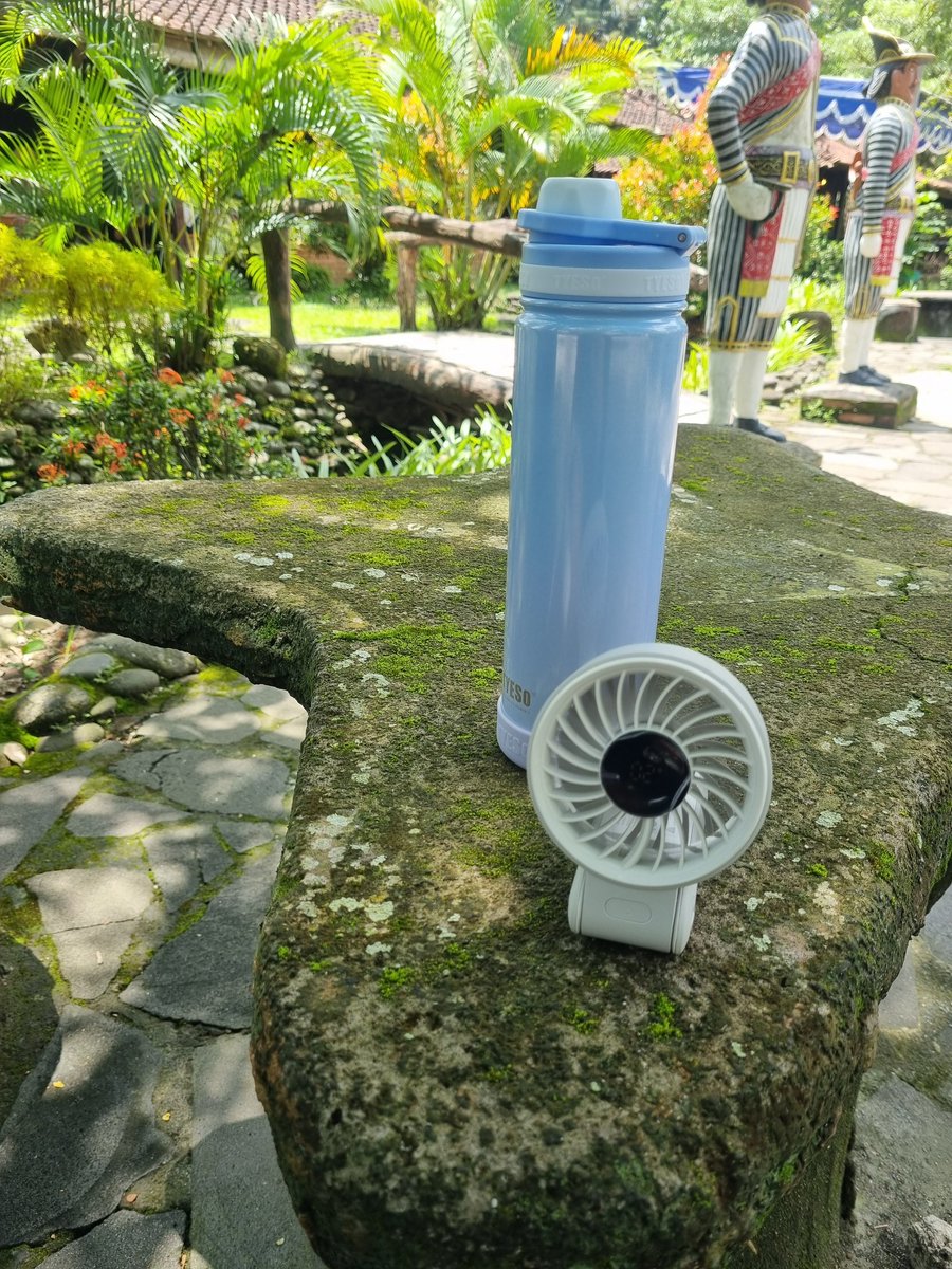 kina🌳🦋 tweet media