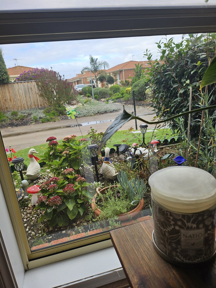 💖cano💖 tweet media