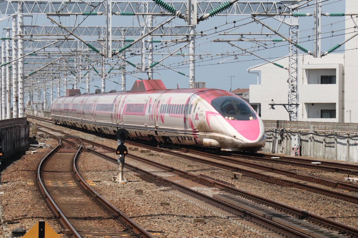 なんかの工事監督 tweet media