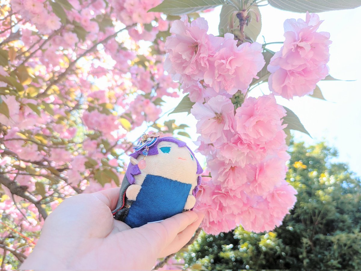 今日は風が気持ち良いね