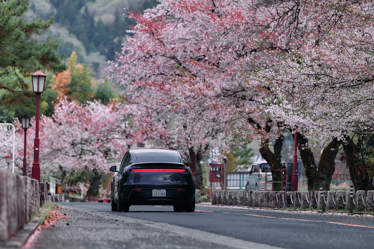 Tesla Japan tweet media