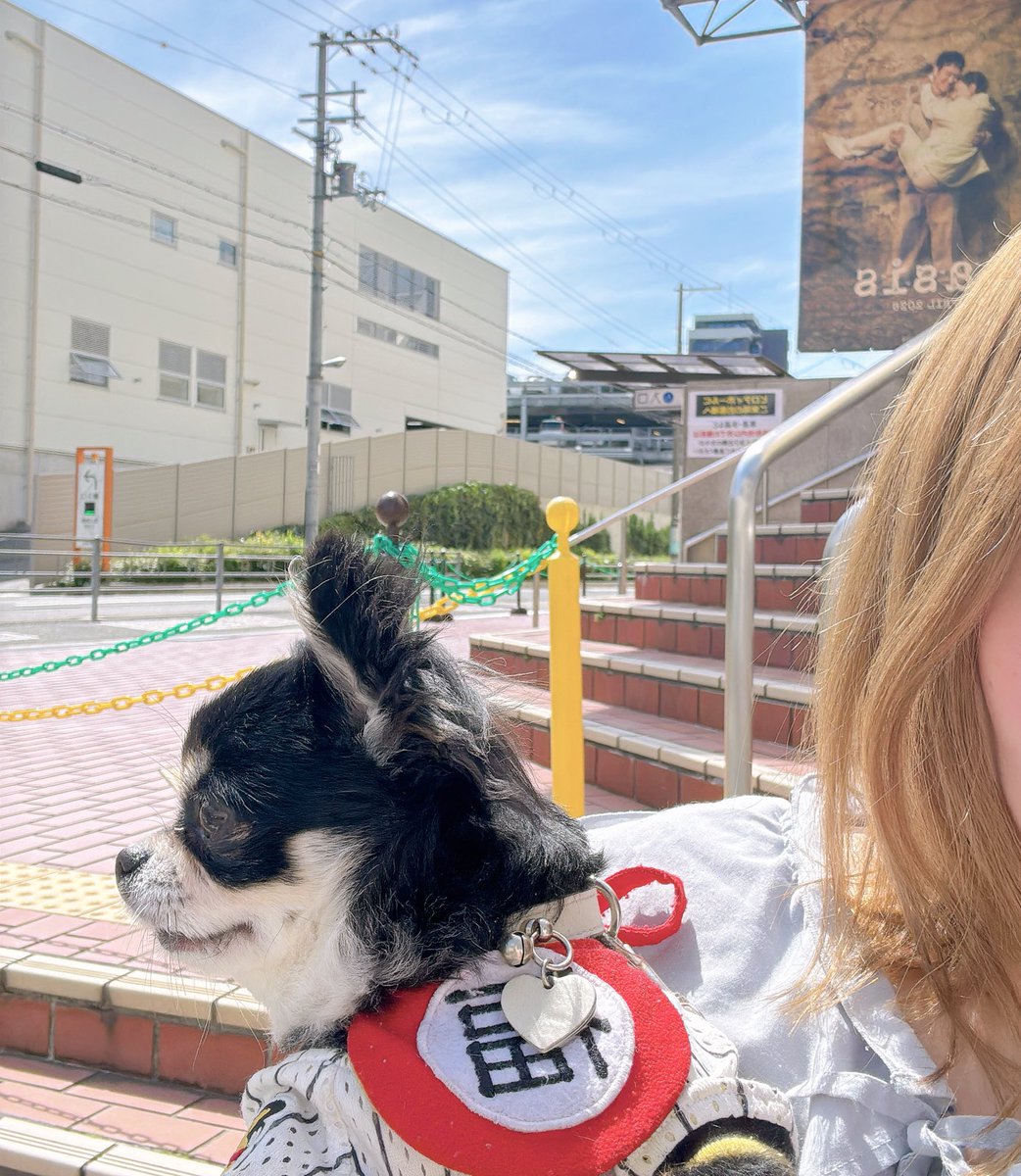 𝟪𝟥su♡ tweet media