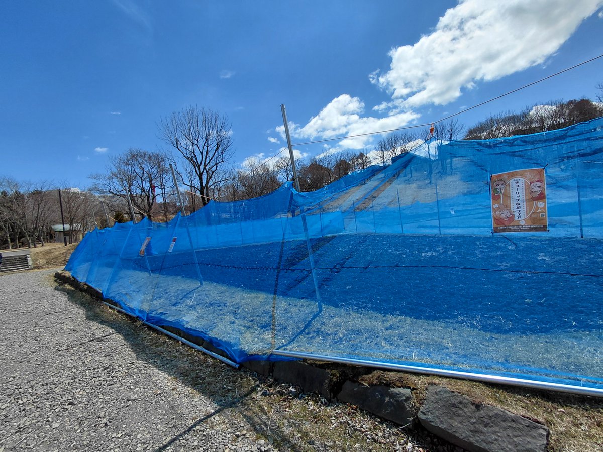 くしろチューリップ＆花フェア【公式】 tweet media