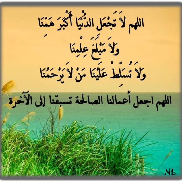 خبير tweet media