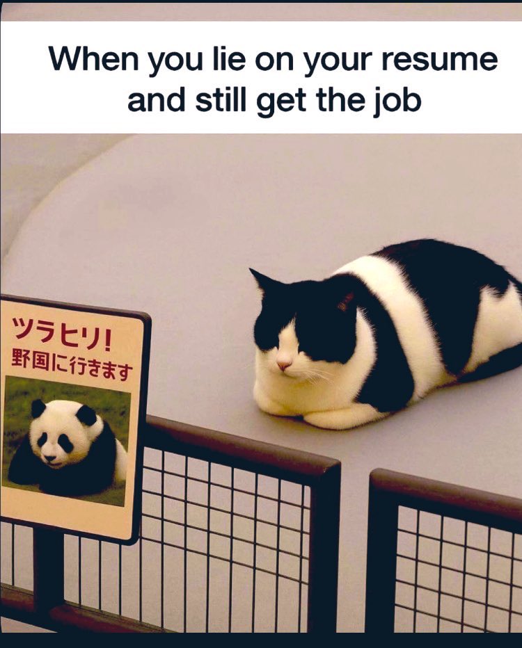 ⬣OVIDIAN_HEX⬣ tweet media