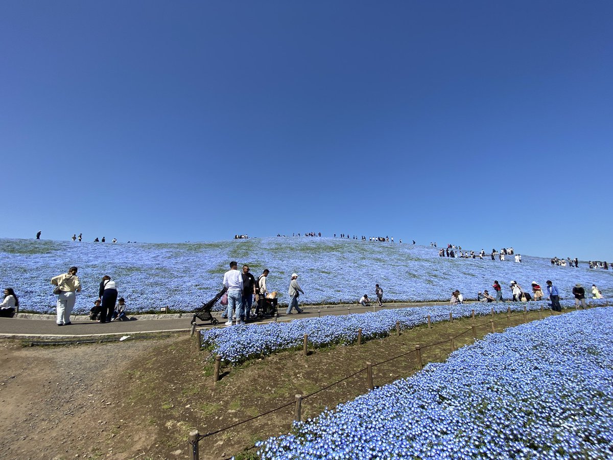 ドール設置して望遠で撮ってたら、通りすがりのおねーさんが
「え、人形、キモっ」と言ってたけど……うん、俺もそう思う😌