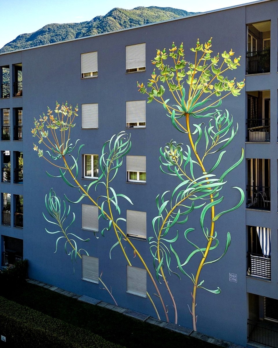 #WOMENSART tweet media