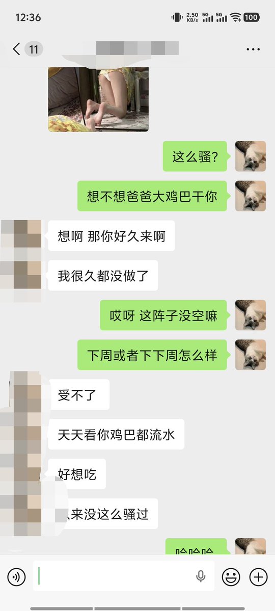 专属逗猫棒 tweet media