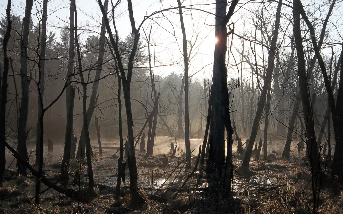 δαιμονίας ὑπερβολῆς tweet media