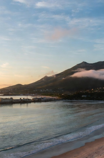 Mufasa007 tweet media