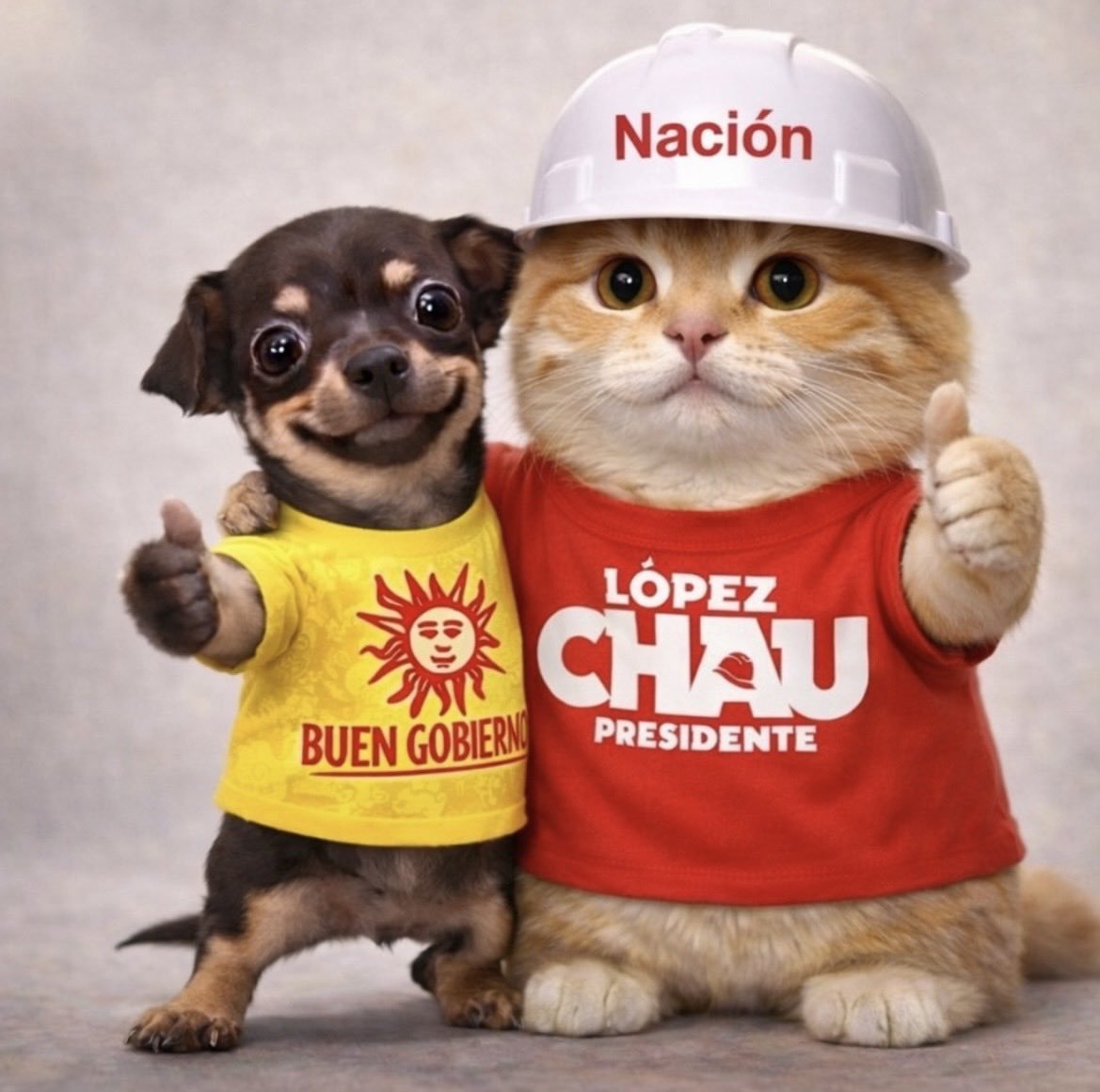 JoyBoy(SP) tweet media