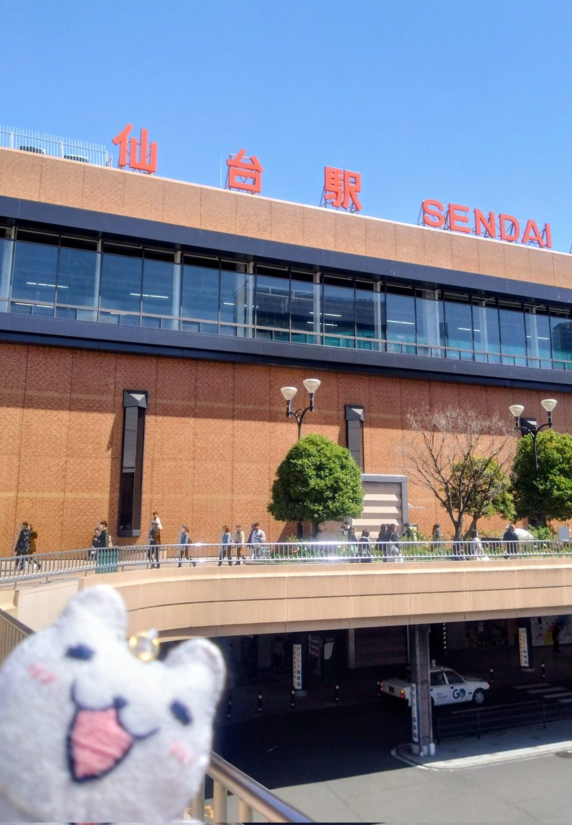 ペコンヌ tweet media