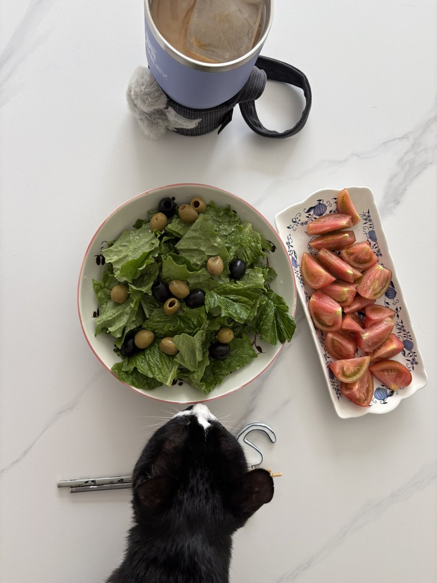 이단풍(12세) tweet media