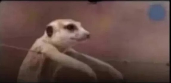 Kaliisa 🩵 Benitah tweet media