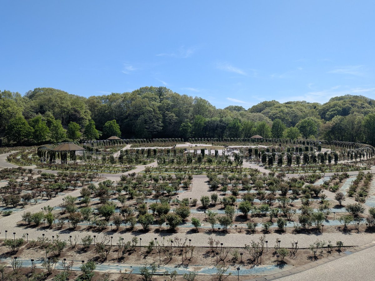 29番柱のハシビロコウ tweet media