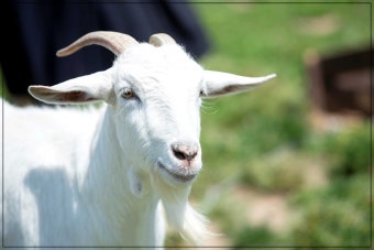 전우치 tweet media