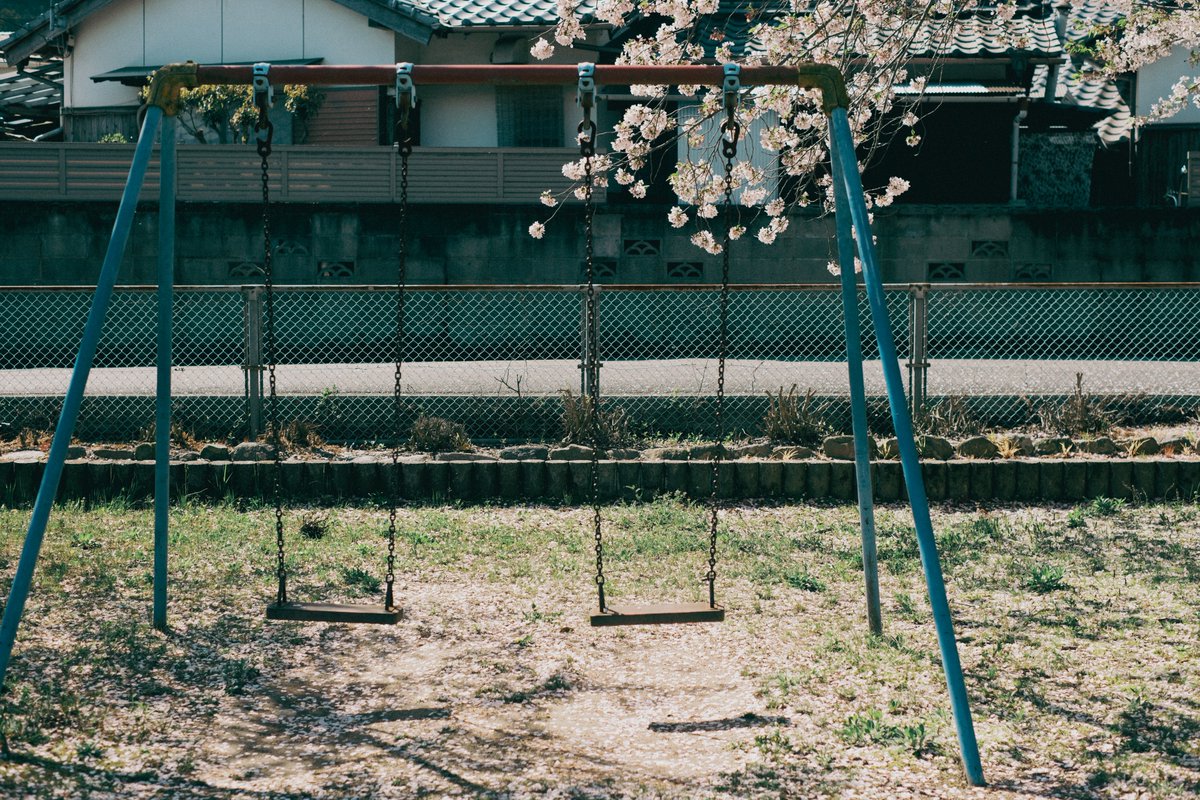 kyubinoneko's tweet image. #photography #JapanVibes 春の日常