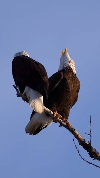 Schizotism tweet media