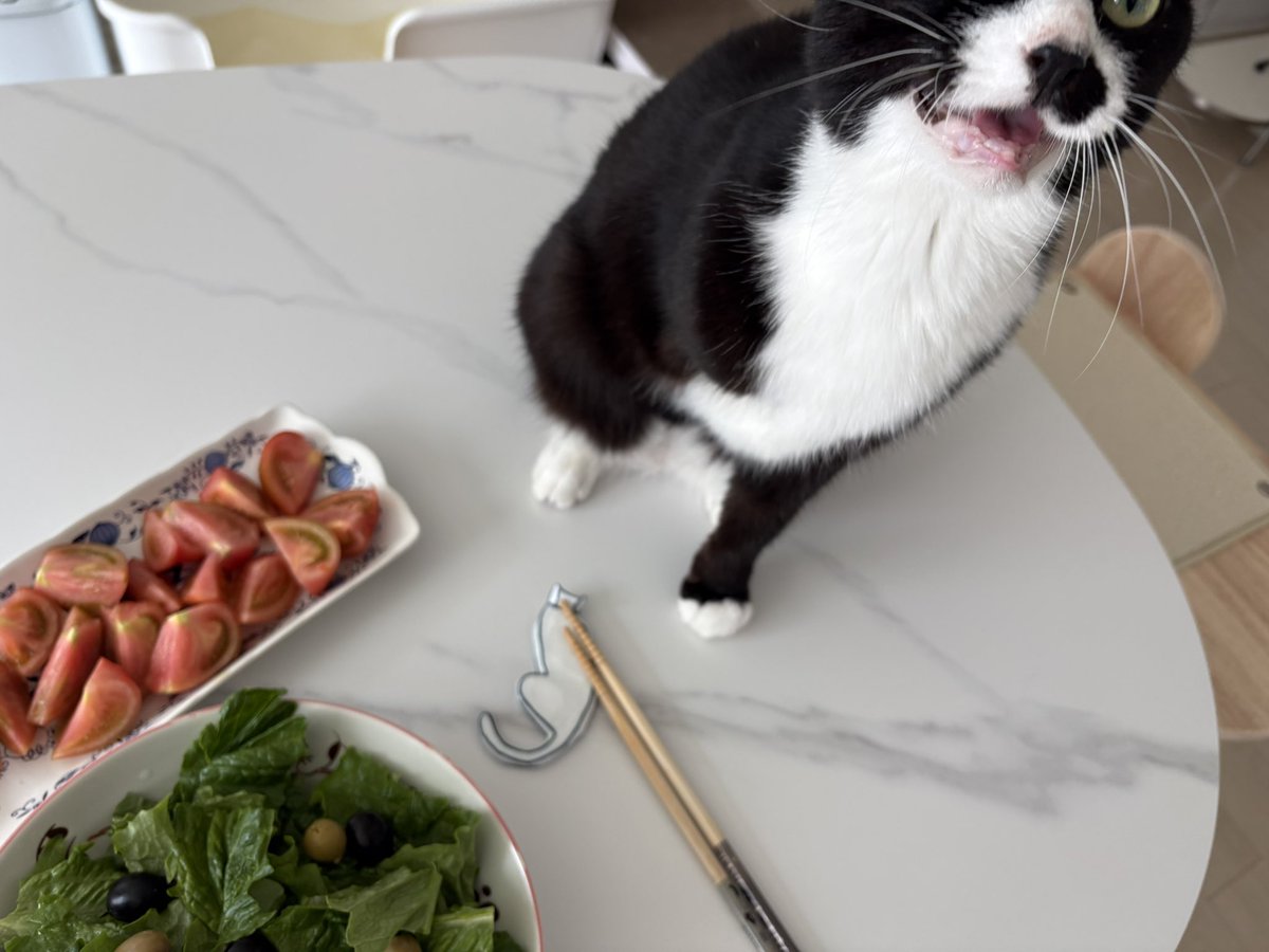 이단풍(12세) tweet media