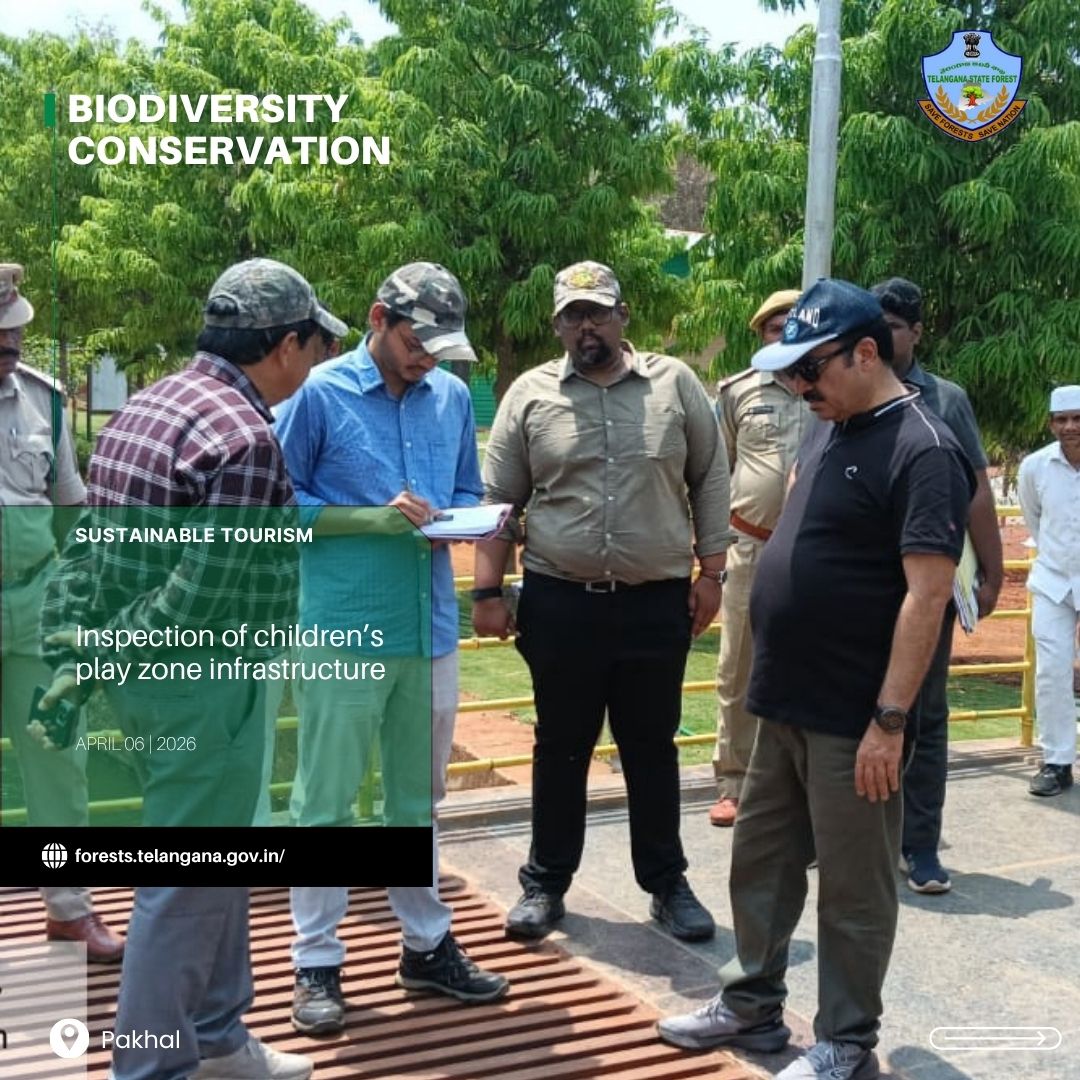 vinaymoef135's tweet photo. Focused development. Responsible eco-tourism. Stronger conservation messaging at Pakhal sanctury Telangana  Biodiversity Park, with boating facilities, butterfly garden, play zone, cane patch, interpretation  centre . Bison is the flag species here. https://t.co/LTeu1DOLP5