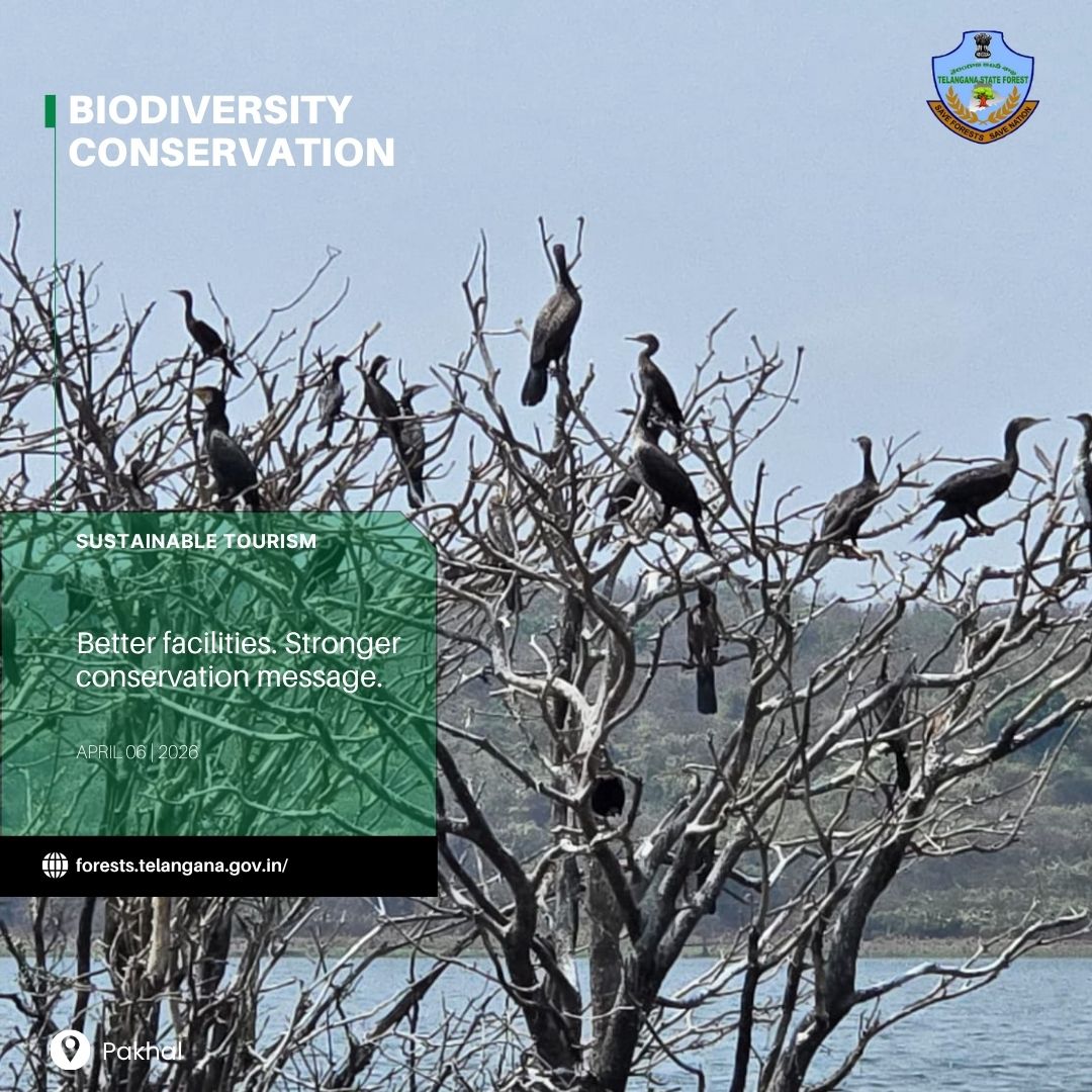 vinaymoef135's tweet photo. Focused development. Responsible eco-tourism. Stronger conservation messaging at Pakhal sanctury Telangana  Biodiversity Park, with boating facilities, butterfly garden, play zone, cane patch, interpretation  centre . Bison is the flag species here. https://t.co/LTeu1DOLP5