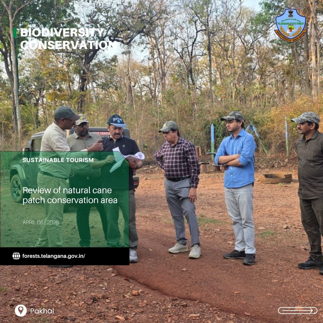 vinaymoef135's tweet photo. Focused development. Responsible eco-tourism. Stronger conservation messaging at Pakhal sanctury Telangana  Biodiversity Park, with boating facilities, butterfly garden, play zone, cane patch, interpretation  centre . Bison is the flag species here. https://t.co/LTeu1DOLP5