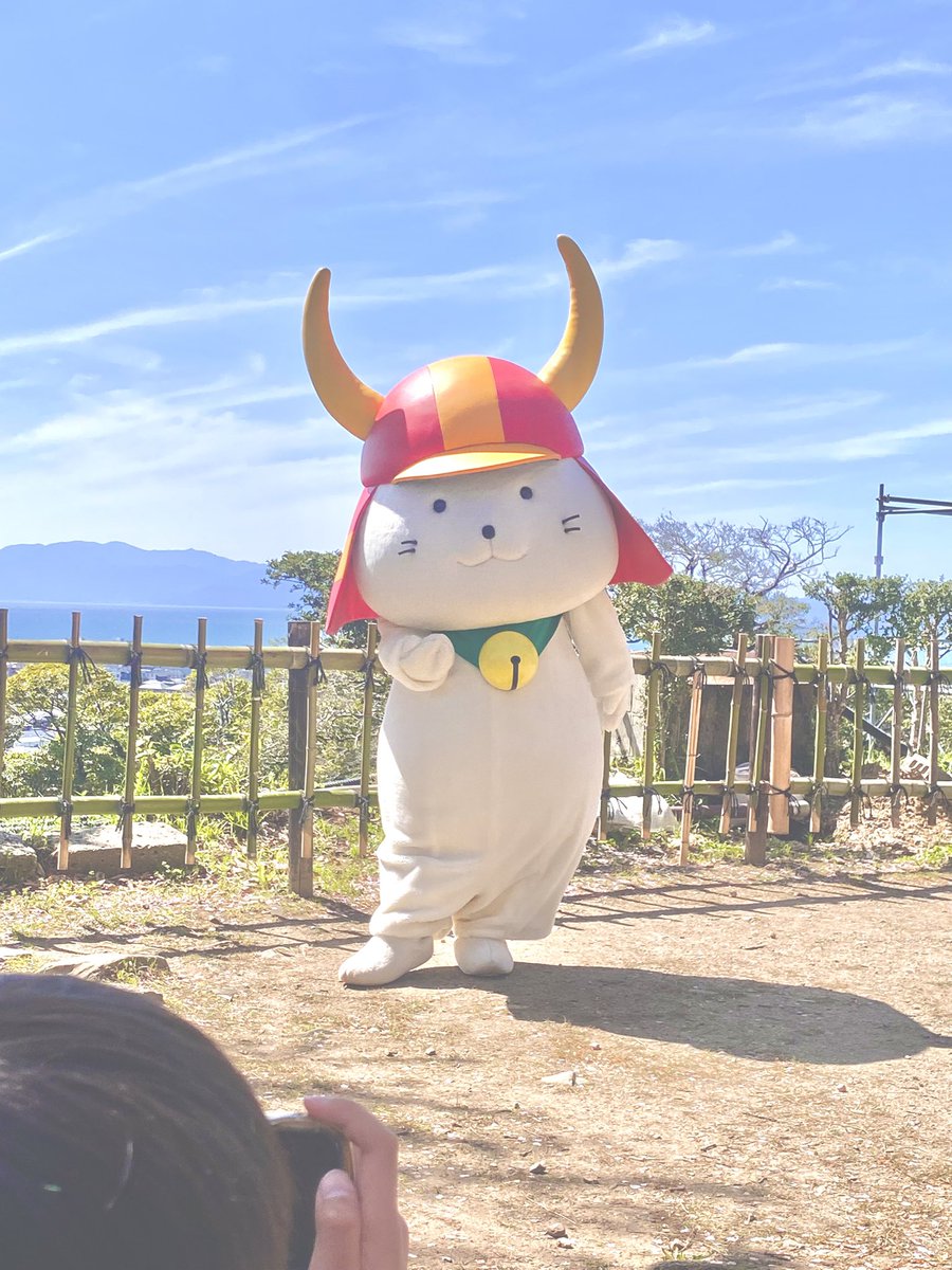 ぽっく tweet media