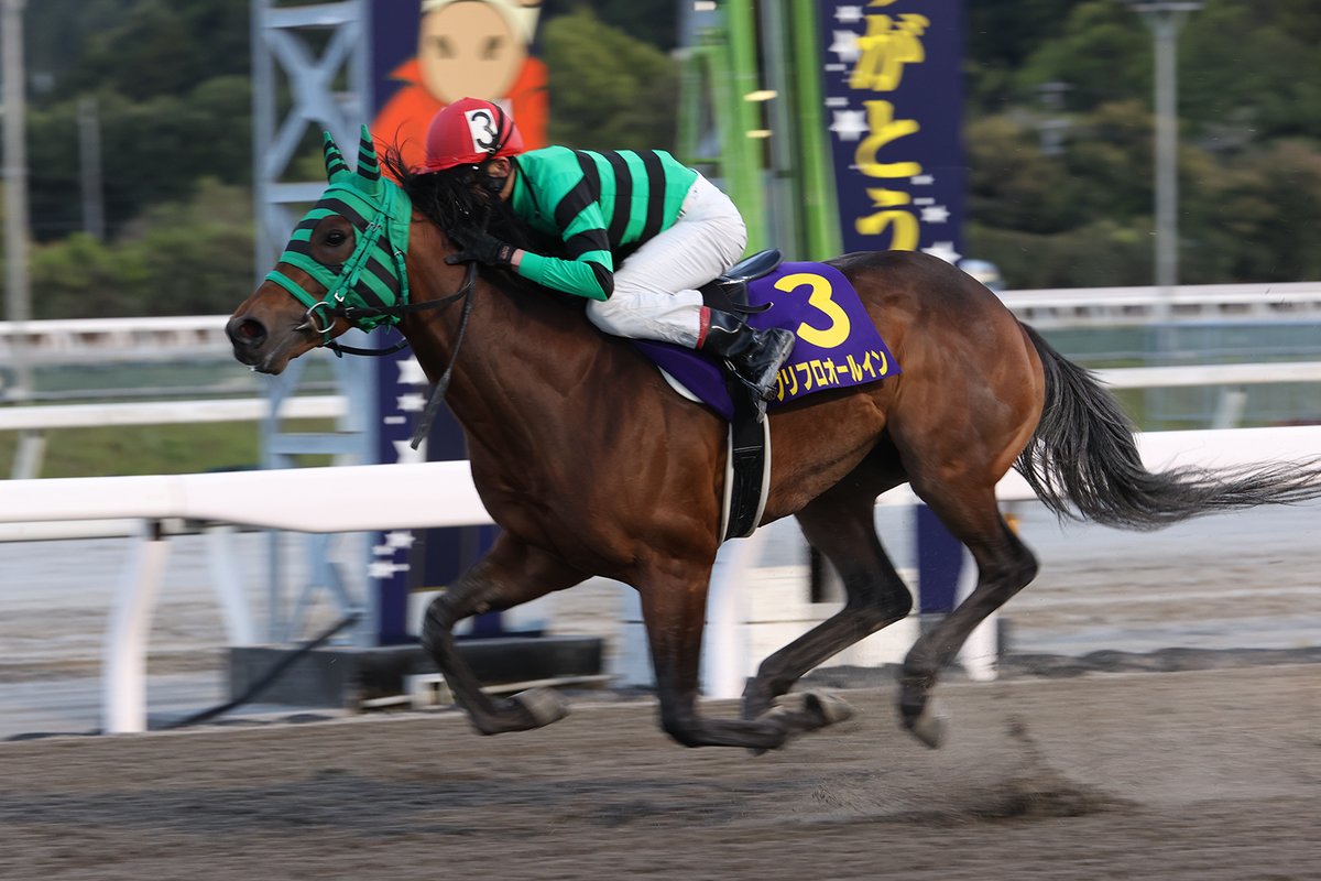 今日の高知競馬は重賞・二十四万石賞 第6レース、午後6時15分発走 昨年