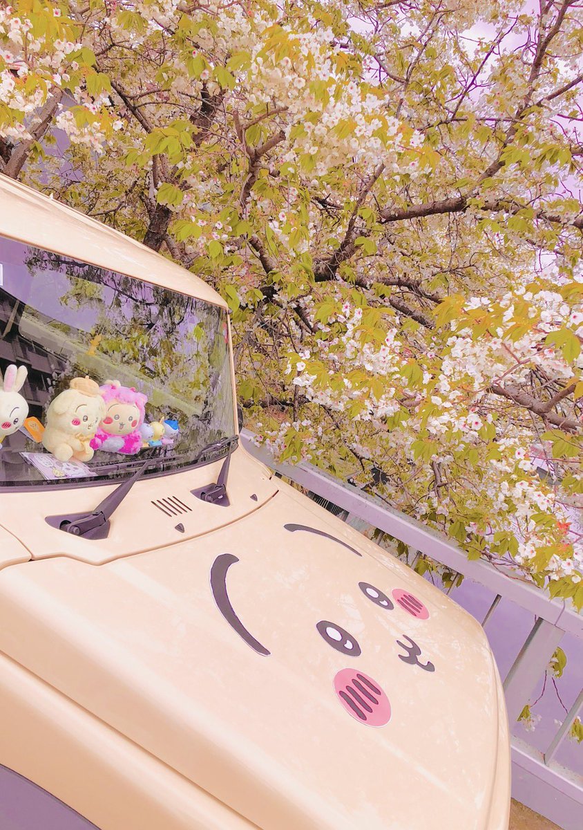 うさぎcar🐇
もう桜も終わりだよ