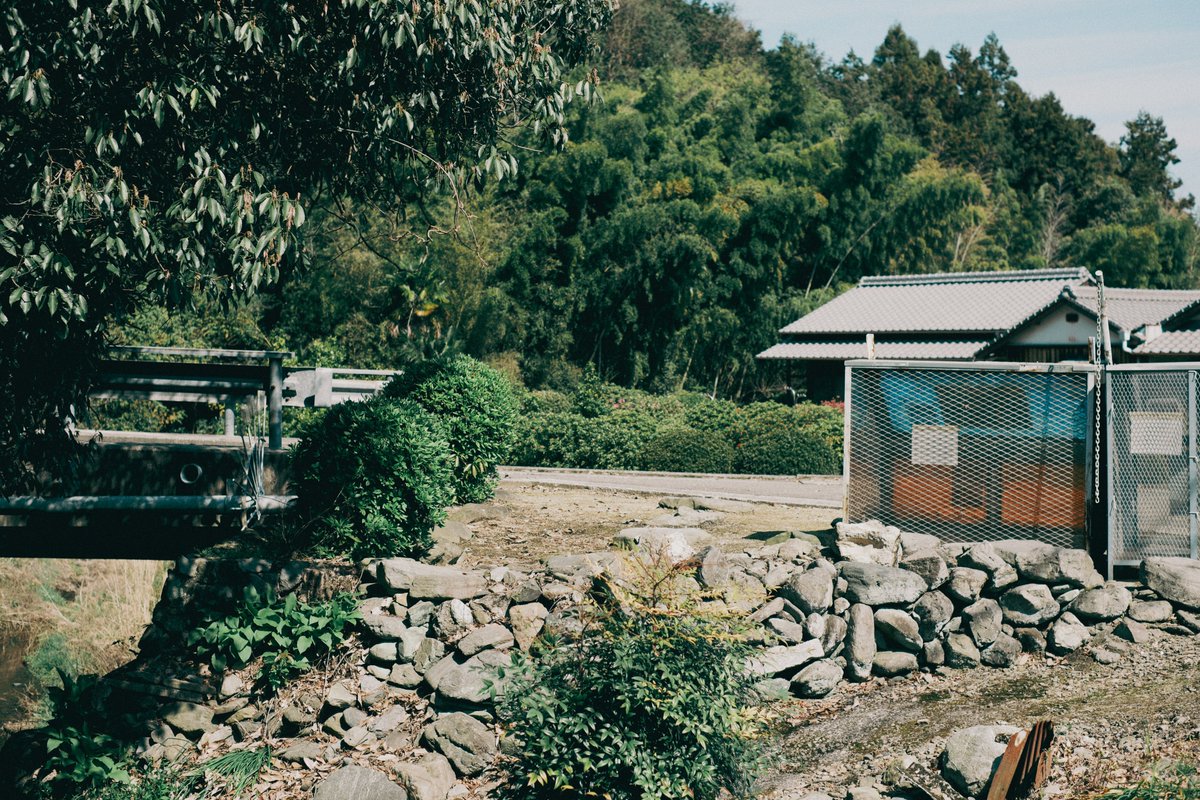 kyubinoneko's tweet image. #photography #JapanVibes 晴れた日