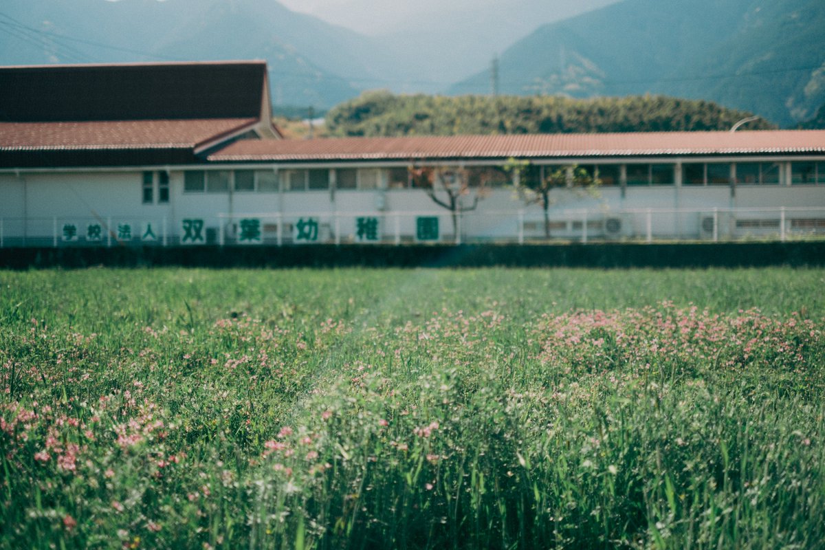 kyubinoneko's tweet image. #photography #JapanVibes 晴れた日