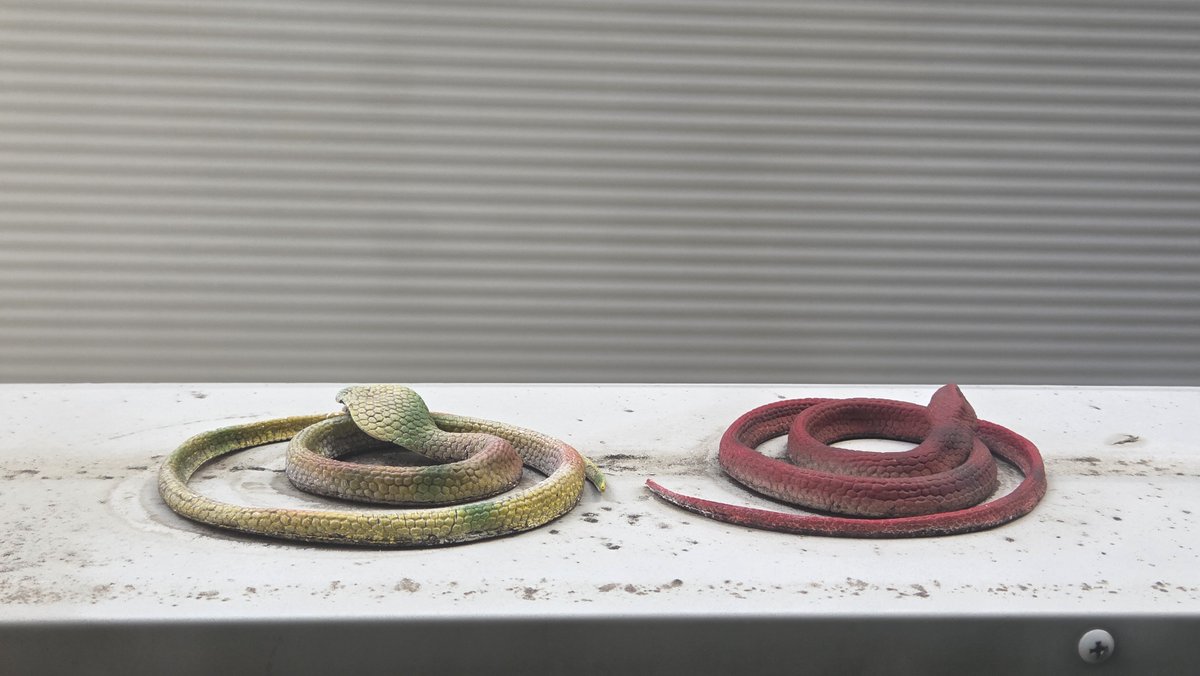 오늘도 겨우 tweet media