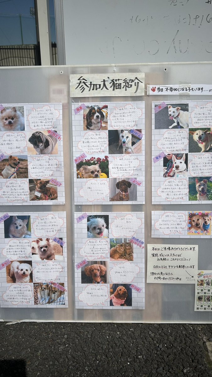 洲王叶多（すおうかなた） tweet media