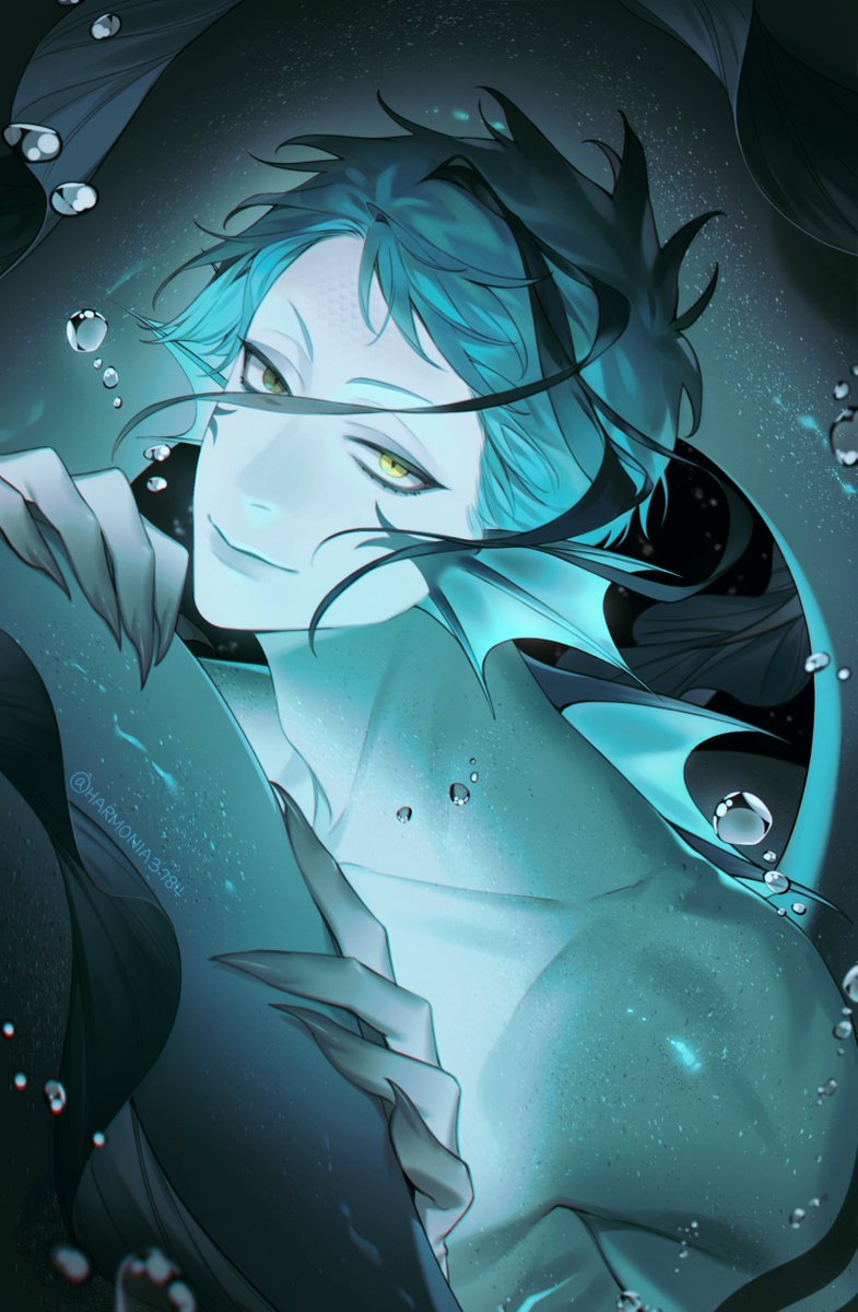 🪸하르모니아 tweet media