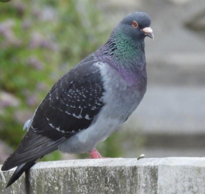 오늘도 겨우 tweet media