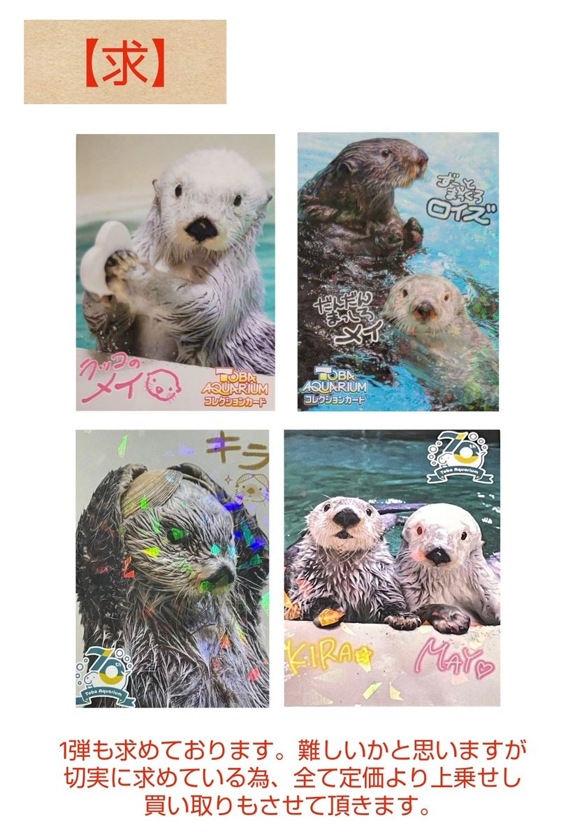 鳥羽水族館 コレクションカード メイ ラッコ とばすい トレカ コレカ