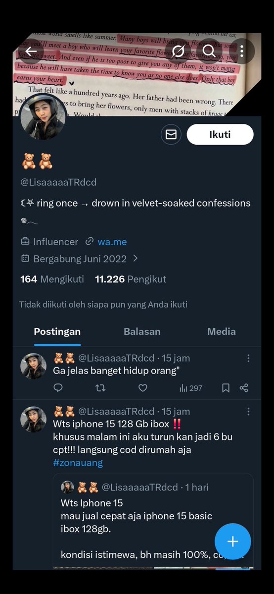 🐻🐻 tweet media