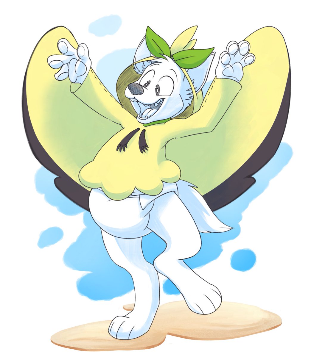 🦌 Kotto Deer 🦌 tweet media