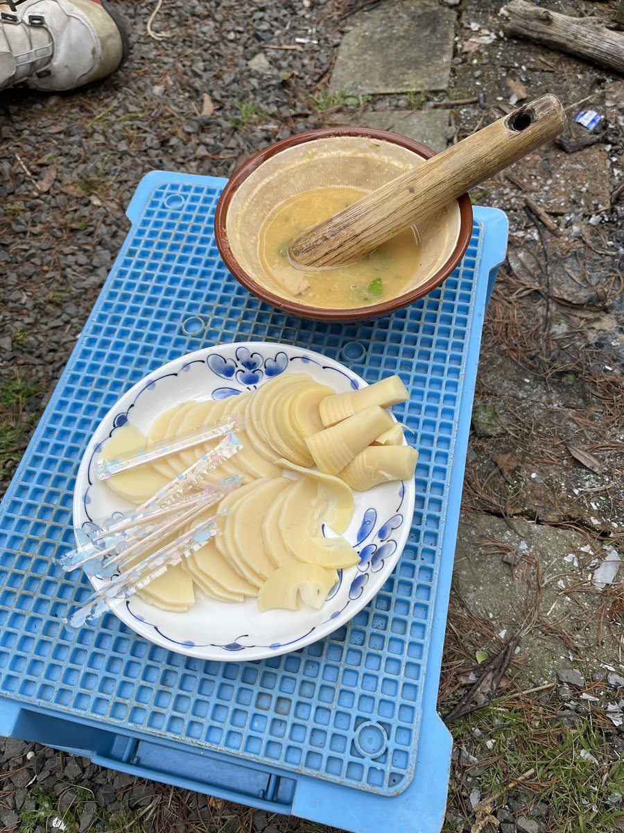 トライ君 tweet media