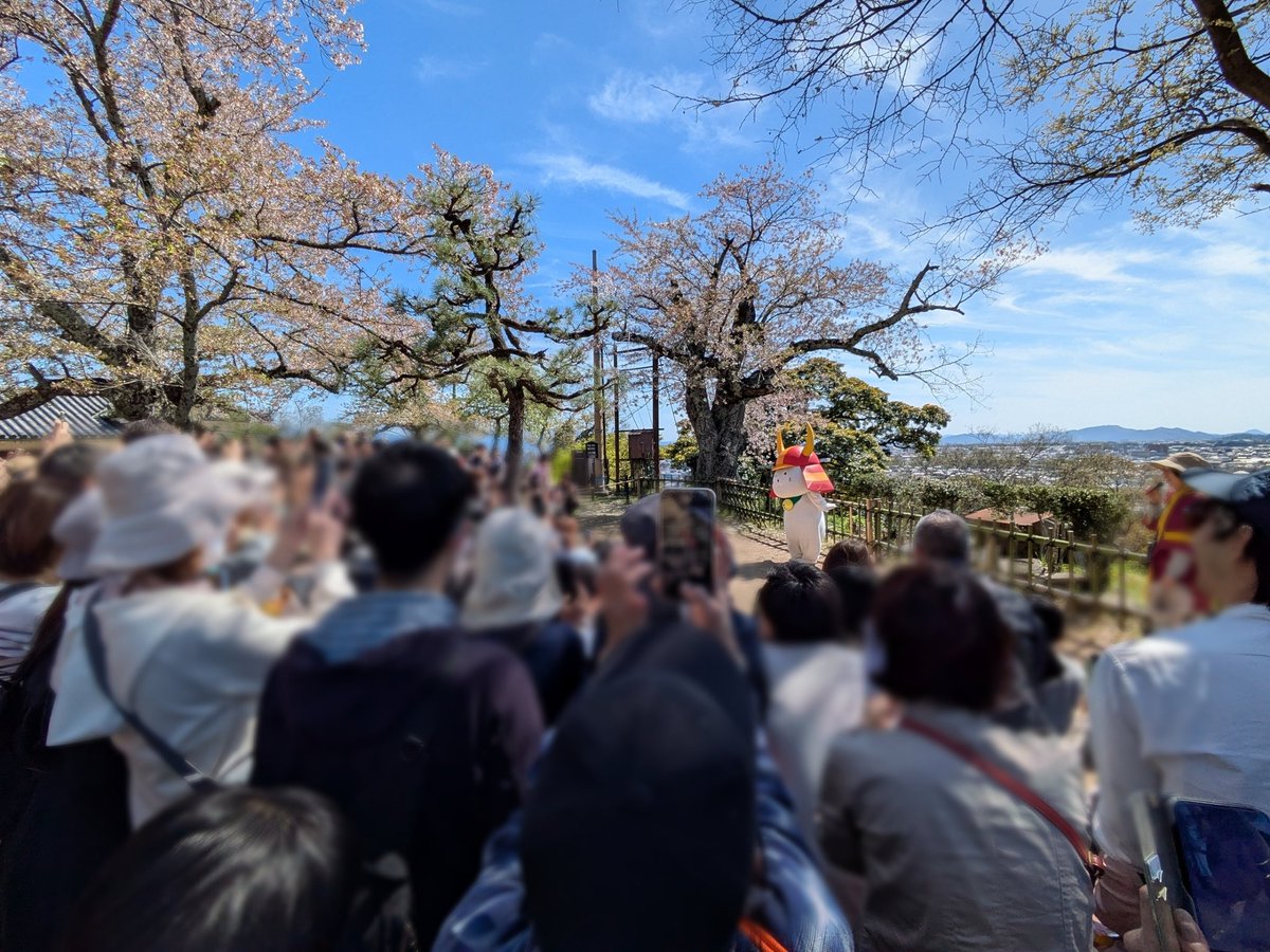 ききょう tweet media