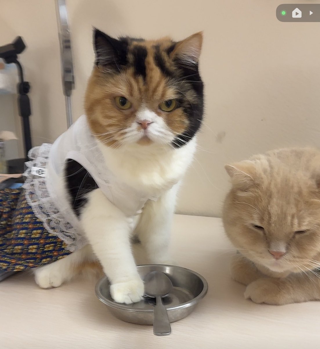 บีมกับน้องๆ tweet media