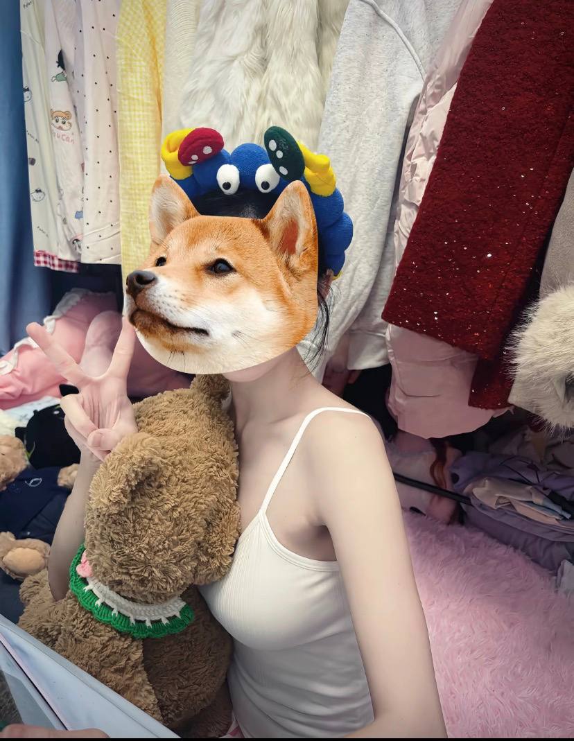 别动我兔子 tweet media