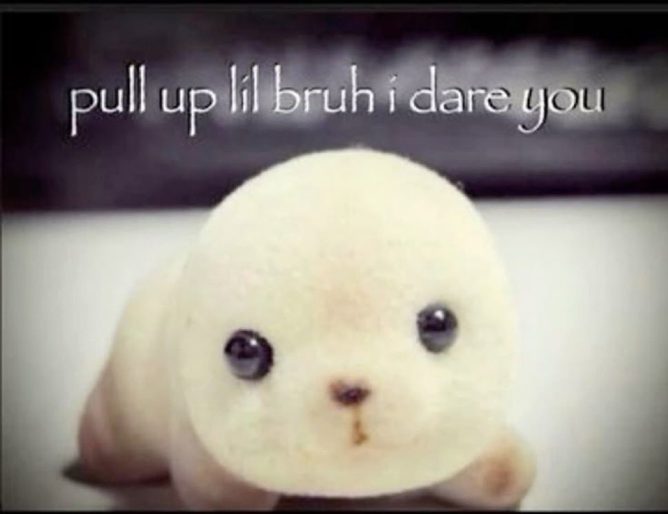 gabby™ tweet media