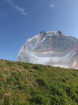 『Lupo』 tweet media