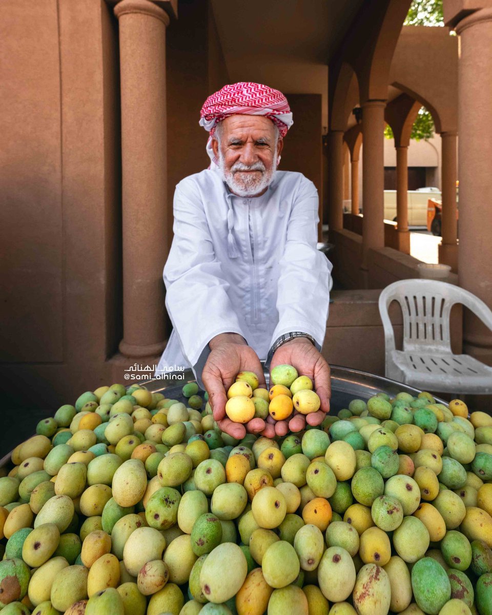 أدب عُمان tweet media